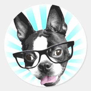 Cute! Hipster Boston Terrier Ronde Sticker