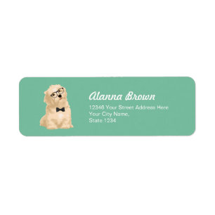 Cute Hipster Reddish Havanese Puppy for Hondenlief Etiket