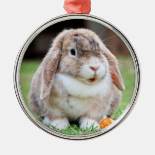 Cute Holland Lop Dwarf Bunny Rabbit Metalen Ornament