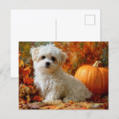 Cute Hond Herfst Pompoen Herfstbladeren Design Briefkaart (Voorkant / Achterkant)
