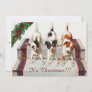 Cute Hond Kerstfeest Kaart