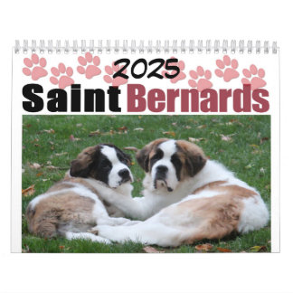 Cute Hondenras Saint Bernard Puppy Calendar Kalender