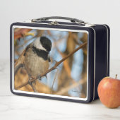 Cute Hopeful Black Capped Chickadee Songbird (In situ)