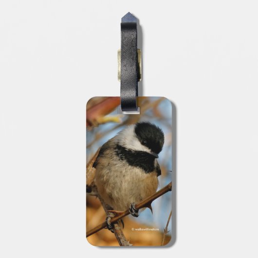 Cute Hopeful Black Capped Chickadee Songbird Bagagelabel (Achterkant verticaal)