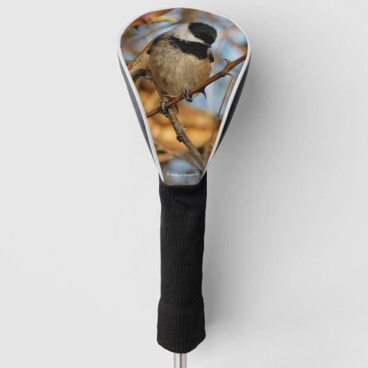 Cute Hopeful Black Capped Chickadee Songbird Golfheadcover (Voorkant)