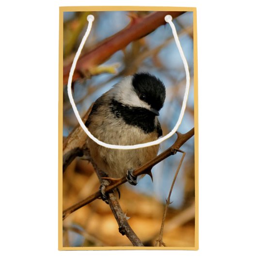 Cute Hopeful Black Capped Chickadee Songbird Klein Cadeauzakje (Achterkant)
