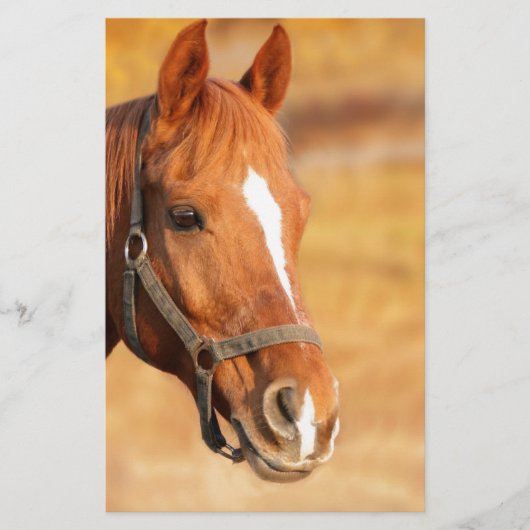 CUTE HORSE BRIEFPAPIER (Voorkant)