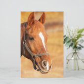 CUTE HORSE BRIEFPAPIER (Staand voorkant)