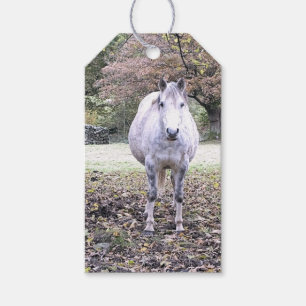 CUTE HORSE CADEAULABEL