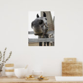 Cute Horse Close Poster (Keuken)