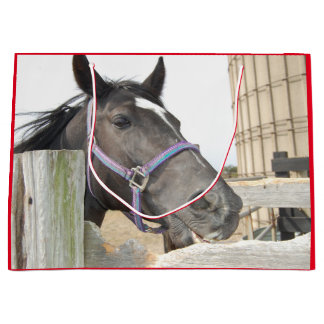 Cute Horse Kauwend op een Fence Post Groot Cadeauzakje
