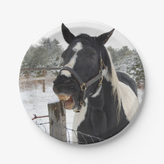 Cute Horse Kauwend op een Fence Post Papieren Bordje