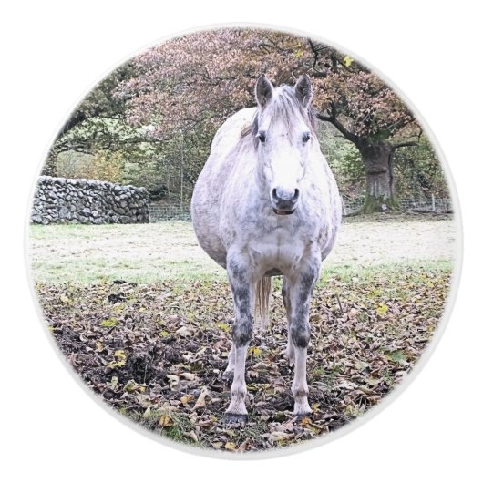 CUTE HORSE KERAMISCHE KNOP (Voorkant)