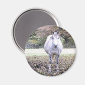 CUTE HORSE   MAGNEET (Voorkant / Achterkant)