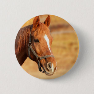 CUTE HORSE RONDE BUTTON 5,7 CM