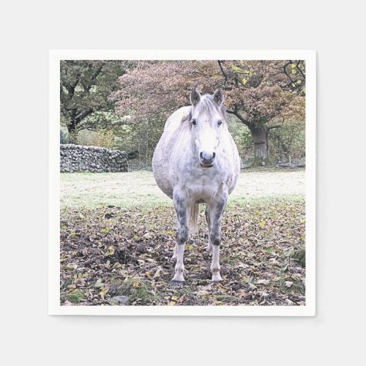 CUTE HORSE SERVET (Voorkant)