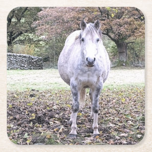 CUTE HORSE VIERKANTE KARTONNEN ONDERZETTER