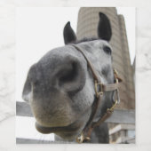 Cute Horse voor een Barn Wijn Etiket (Enkel label)