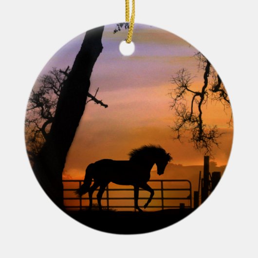 Cute Horse Xmas Ornament (Voorkant)