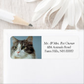 Cute Housecat Return Address Stickers Labels (Insitu)
