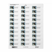 Cute Housecat Return Address Stickers Labels (Full Sheet)