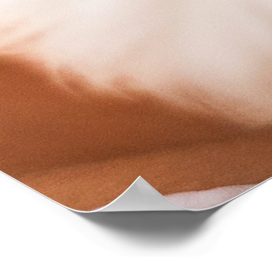 Cute & Huggable Dog Close-up poster (Hoek)