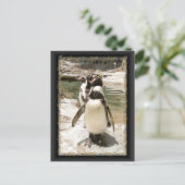 Cute Humboldt Penguin Briefkaarten (Staand voorkant)