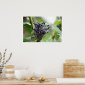 Cute Hummingbird Foto Poster (Keuken)