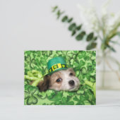 Cute Irish Puppy Background Feestdagenkaart (Staand voorkant)