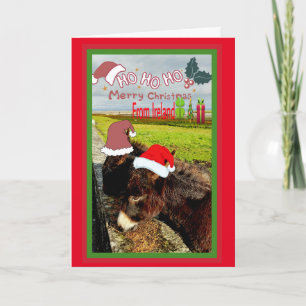 Cute Irish Santa Donkey-kerstkaart Feestdagen Kaart