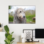Cute Irish Wolfhound Poster (Thuiskantoor)