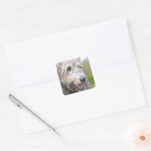 Cute Irish Wolfhound Vierkante Sticker (Envelop)
