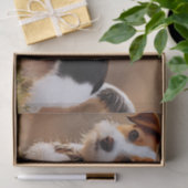 Cute Jack Russel Terrier Dog Foto Tissuepapier (Geschenk)