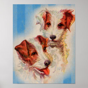 CUTE Jack Russell-doodsmannen Poster