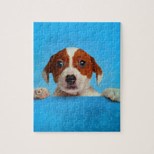 Cute Jack Russell Terrier Puppy Legpuzzel