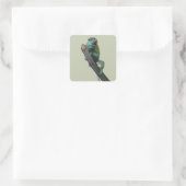 Cute Jackson's Chameleon Vierkante Sticker (Tas)