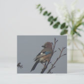 Cute Jay dans l'arbre do-it-yourself carte postale (Debout devant)