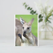 Cute joey kangaroo briefkaart (Staand voorkant)