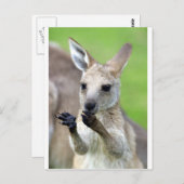 Cute joey kangaroo briefkaart (Voorkant / Achterkant)