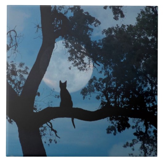 Cute Kat and Moon Art Tegel Tegeltje (Voorkant)