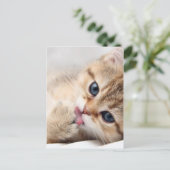 CUTE KAT BRIEFKAART (Staand voorkant)