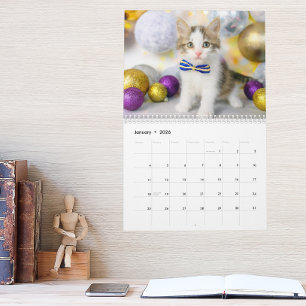 Cute Kat Foto Het Is Een Kat Leven 2026  Kalender