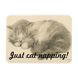 Cute Kat Napping Magnet Magneet