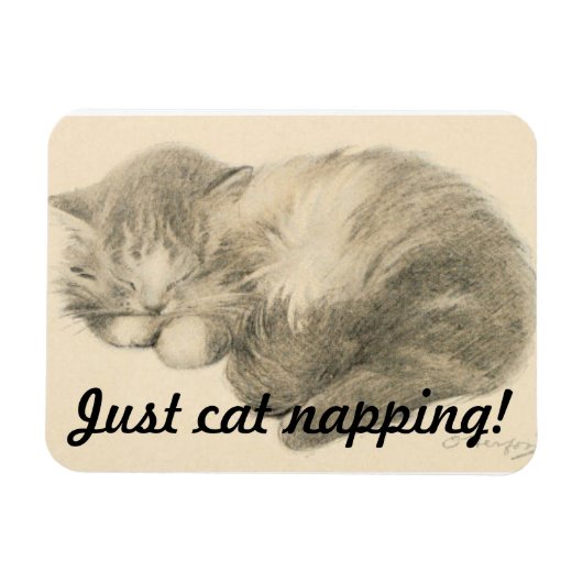 Cute Kat Napping Magnet Magneet (Horizontaal)