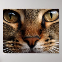 Cute kattenneus en oogdeksel. Gezelschapsdier