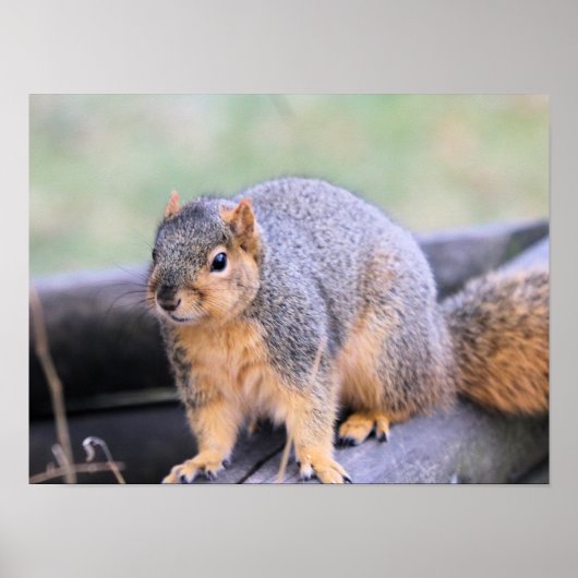 Cute, kerel poster (Voorkant)