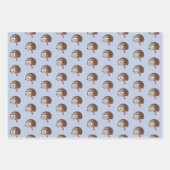 Cute kerstfeestegel inpakpapier vel (Voorkant 3)