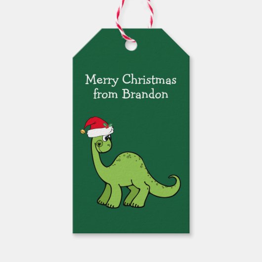 Cute Kerstmis Dinosaur Santa Custom Green Party Cadeaulabel (Voorkant)