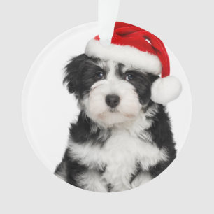 Cute Kerstmis Havanese Puppy Dog 2 Ornament