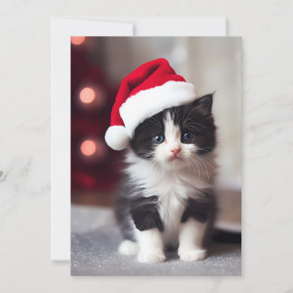 Cute Kerstmis Kitten Feestdagenkaart